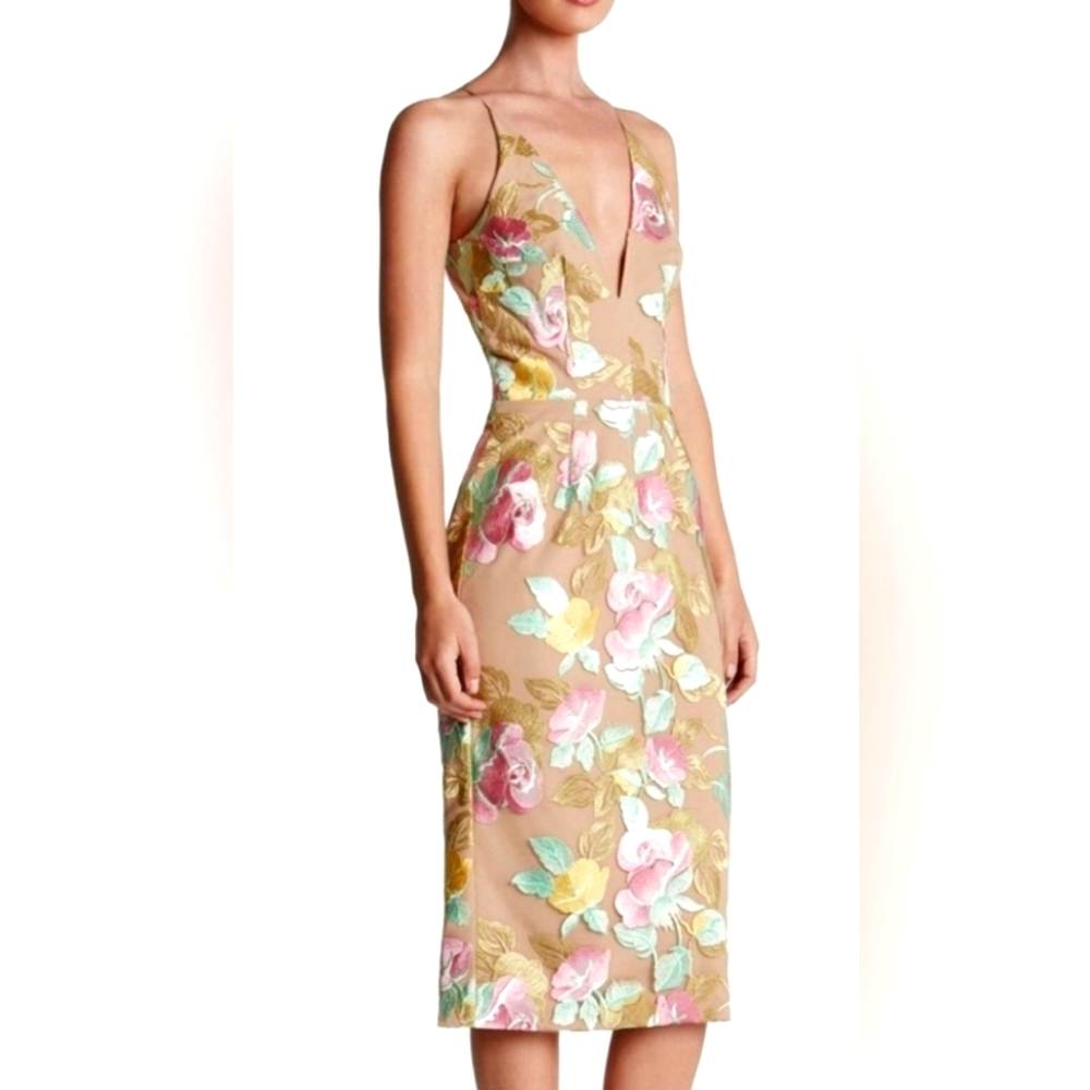Dress the Population Floral Embroidered Dress